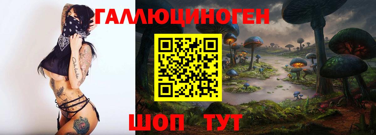 Баксан  Псилоцибиновые грибы мухоморы  наркота  Вход с VPN  Псилоцибиновые грибы Cubensis 