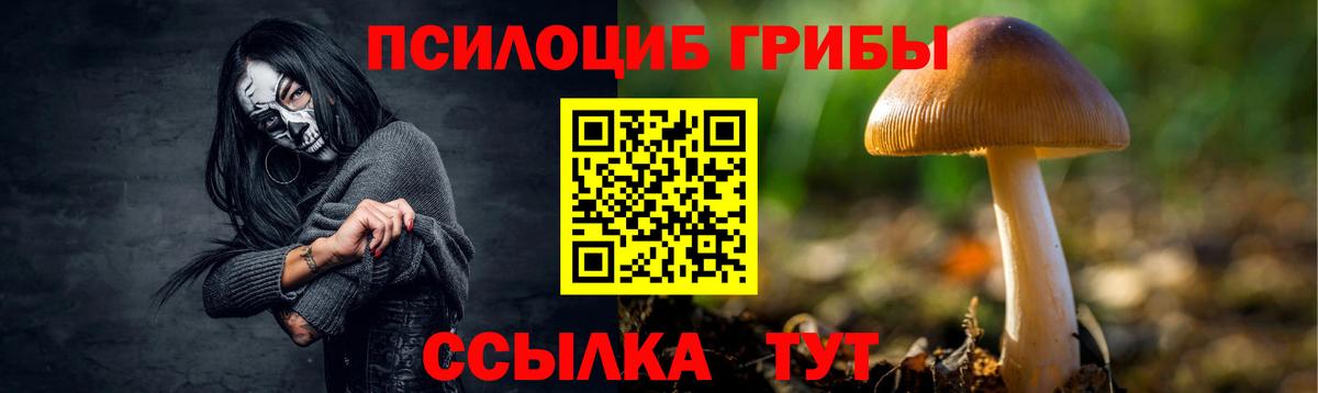 Псилоцибиновые грибы прущие грибы Баксан